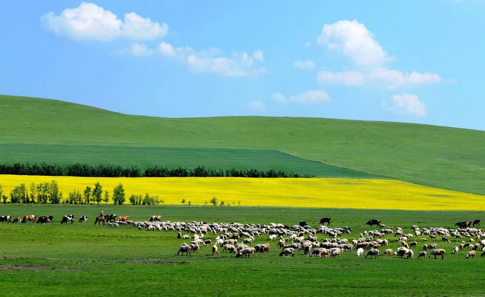 内蒙古之瑰丽,古风词韵描绘的草原风情