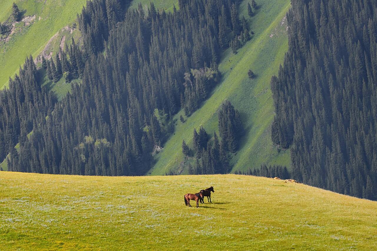 新疆之行，心之所向的感悟之旅