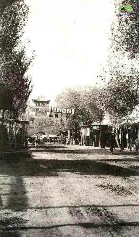 新疆，青春岁月的烙印