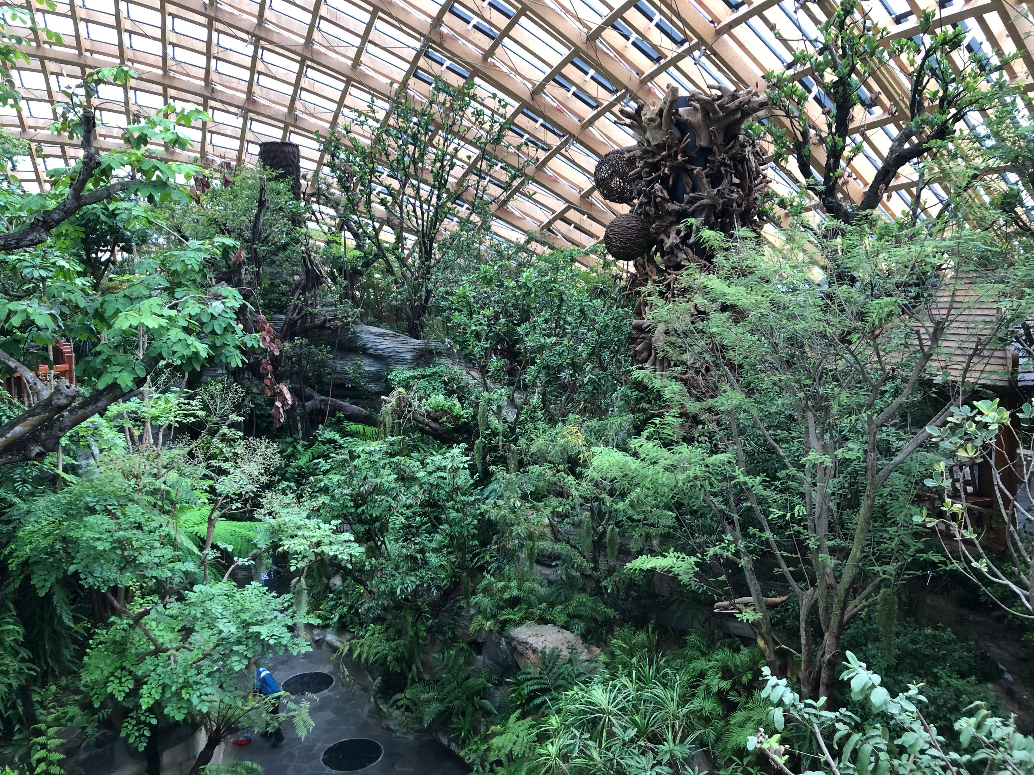 太原，历史底蕴与现代魅力的交融地