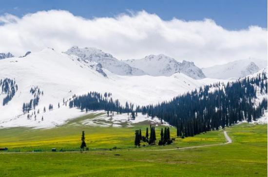呼伦贝尔,草原之美与风情之旅